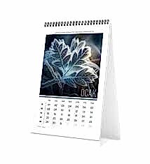 GIPTA 13195-BRS FLOWER 13X19,5 BRİSTON ÜÇGEN TAKVİM