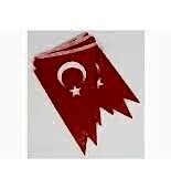 VATAN ÜÇGEN DİZİLİ KAĞIT BAYRAKLI FLAMA VT178