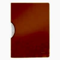 LEITZ 4174 COLORCLİP DOSYA TURUNCU
