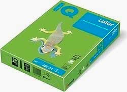 MONDİ KÜF YEŞİLİ IQ RENKLİ KAĞIT 80GR LG46